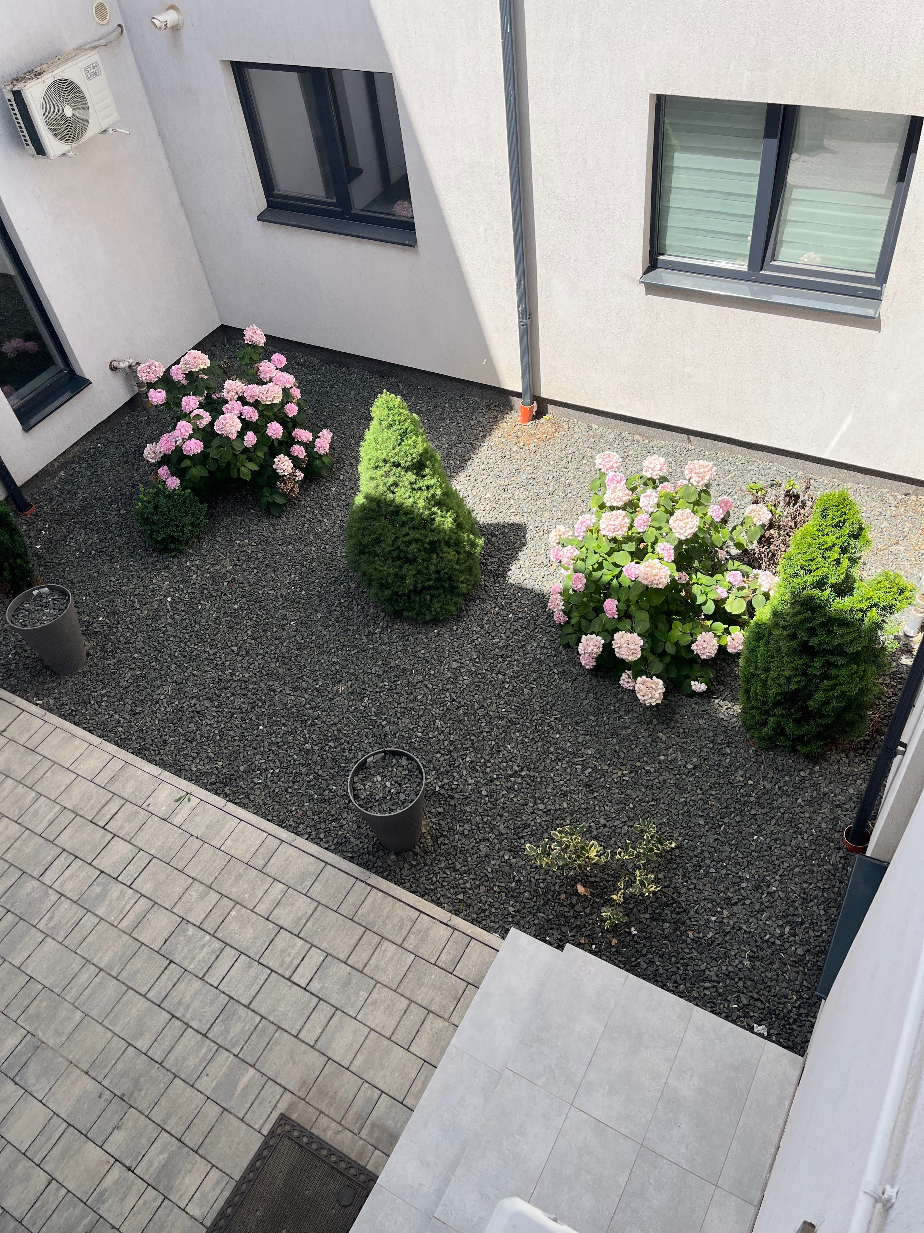 Image 96